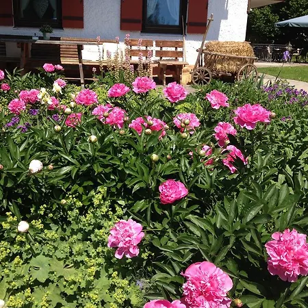 Hotel Beim Nuihausa Reit im Winkl