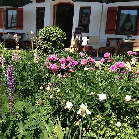 Hotel Beim Nuihausa